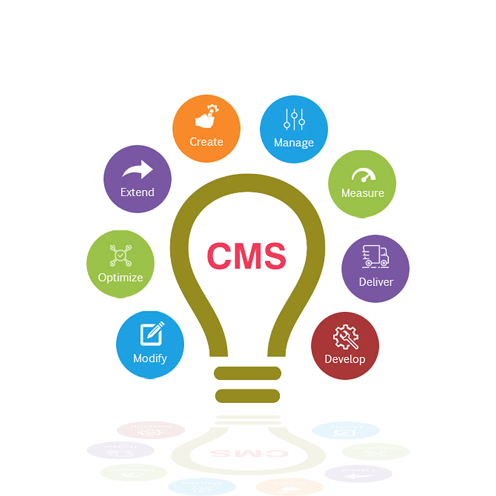 CMS Solutions Image